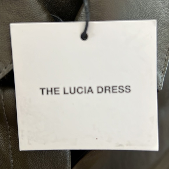 Gorgeous Faux Leather LUCIA Dress - Picture 4 of 5